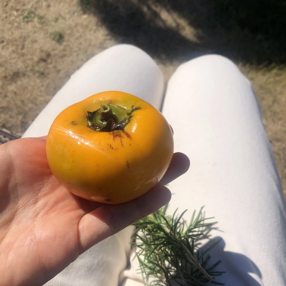 IMG_8873.JPG?type=w1