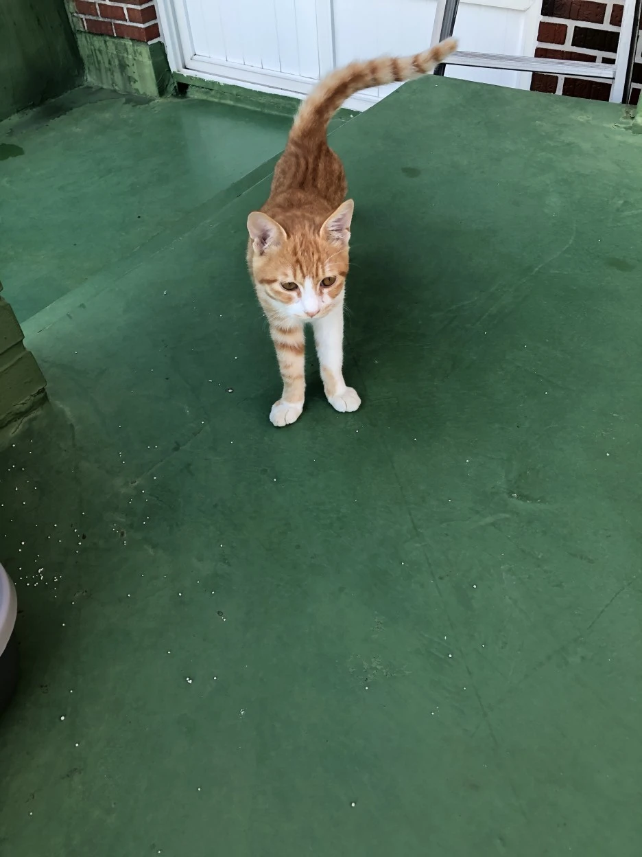 IMG_8617.JPG?type=w1