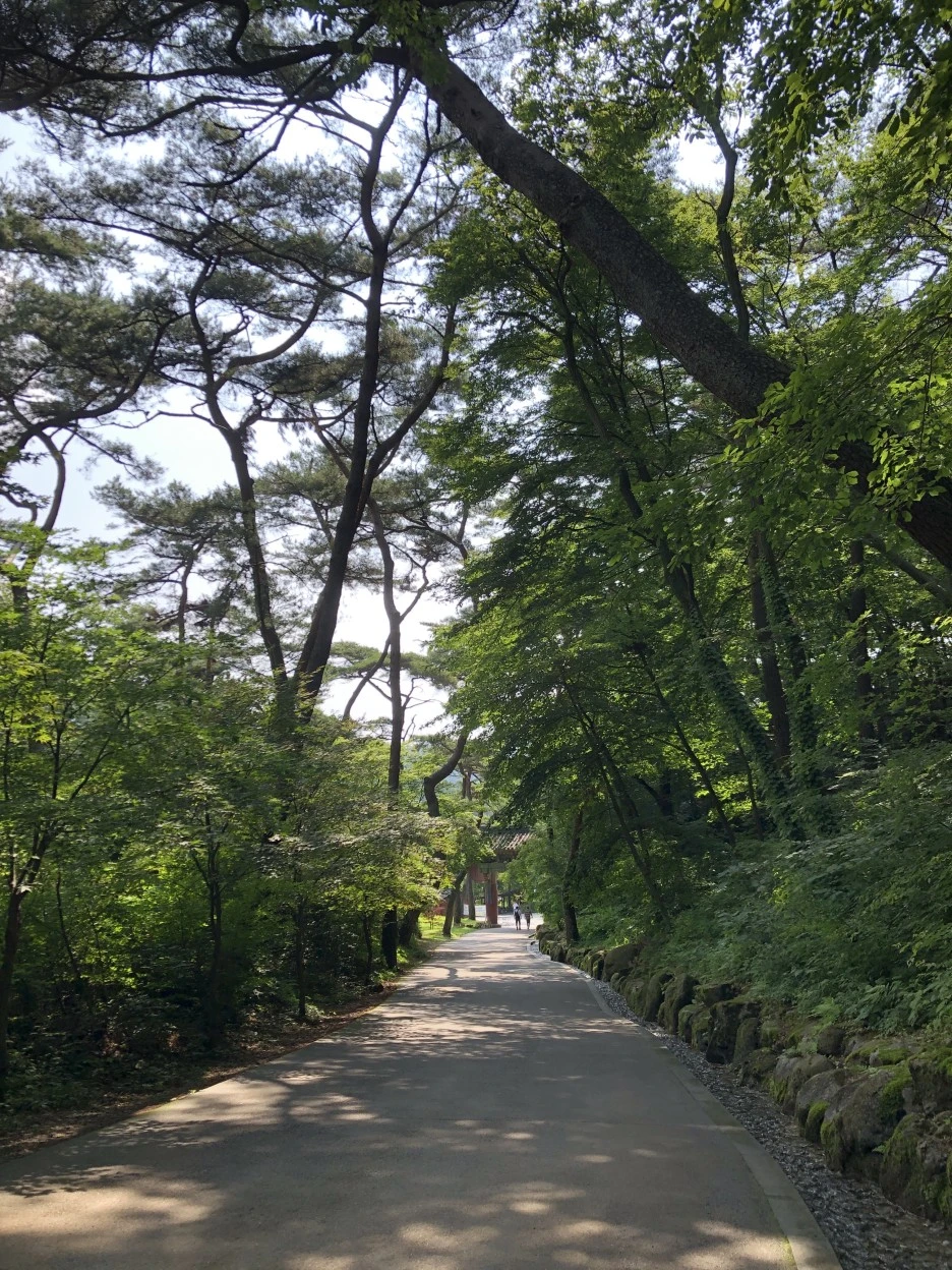 IMG_3802.JPG?type=w1