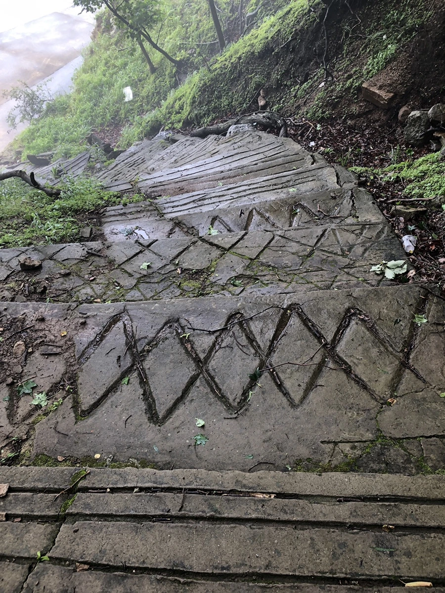 IMG_4036.JPG?type=w1