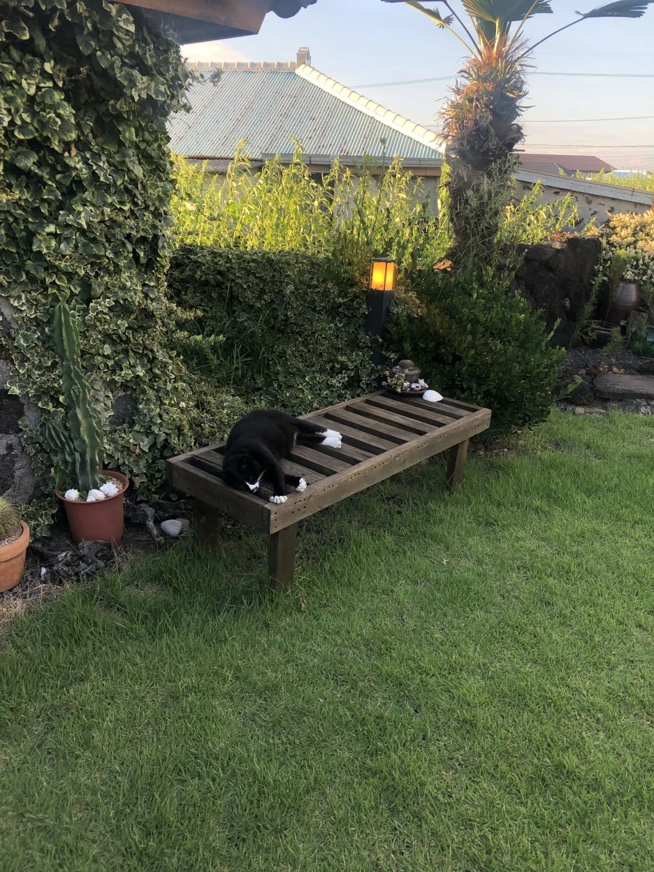 IMG_6438.JPG?type=w1