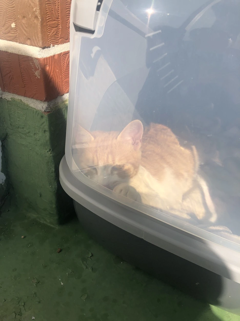 IMG_8858.JPG?type=w1