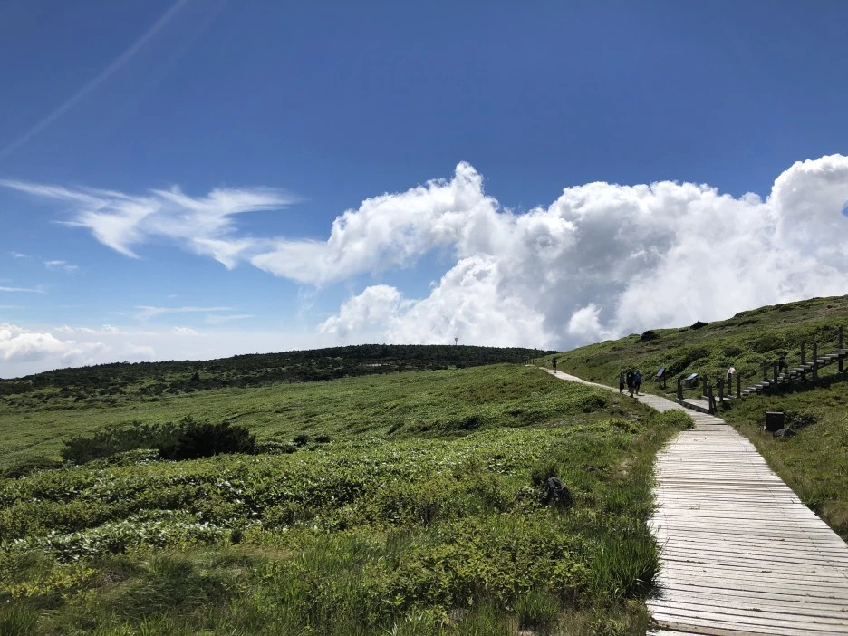 IMG_5772.JPG?type=w1