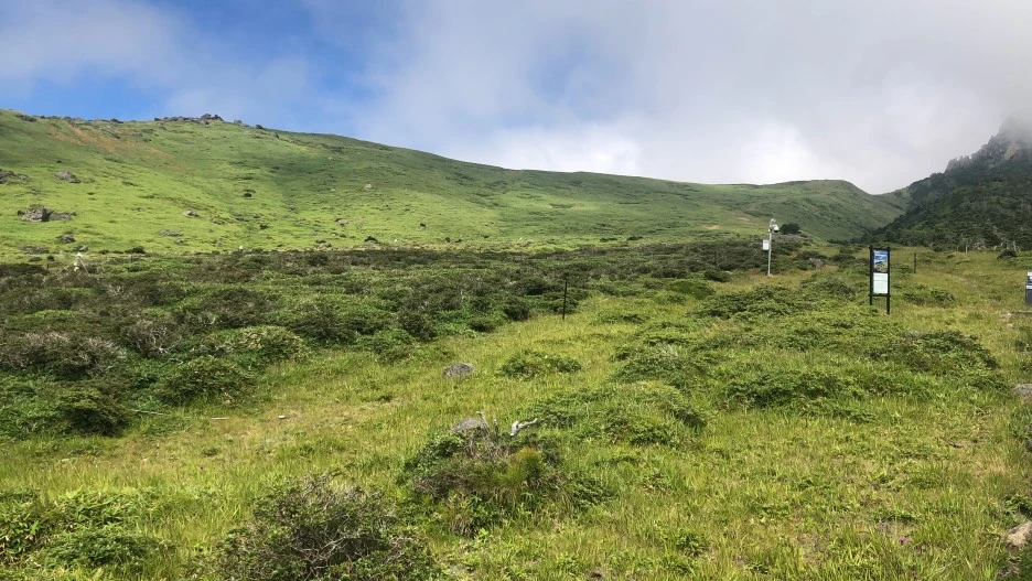 IMG_5724.JPG?type=w1