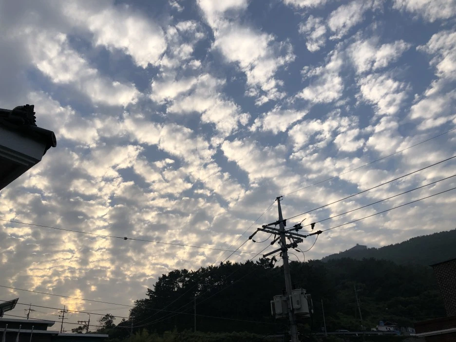 CD14502E-C920-46D3-9422-5127F50EF5D0.jpeg?type=w1