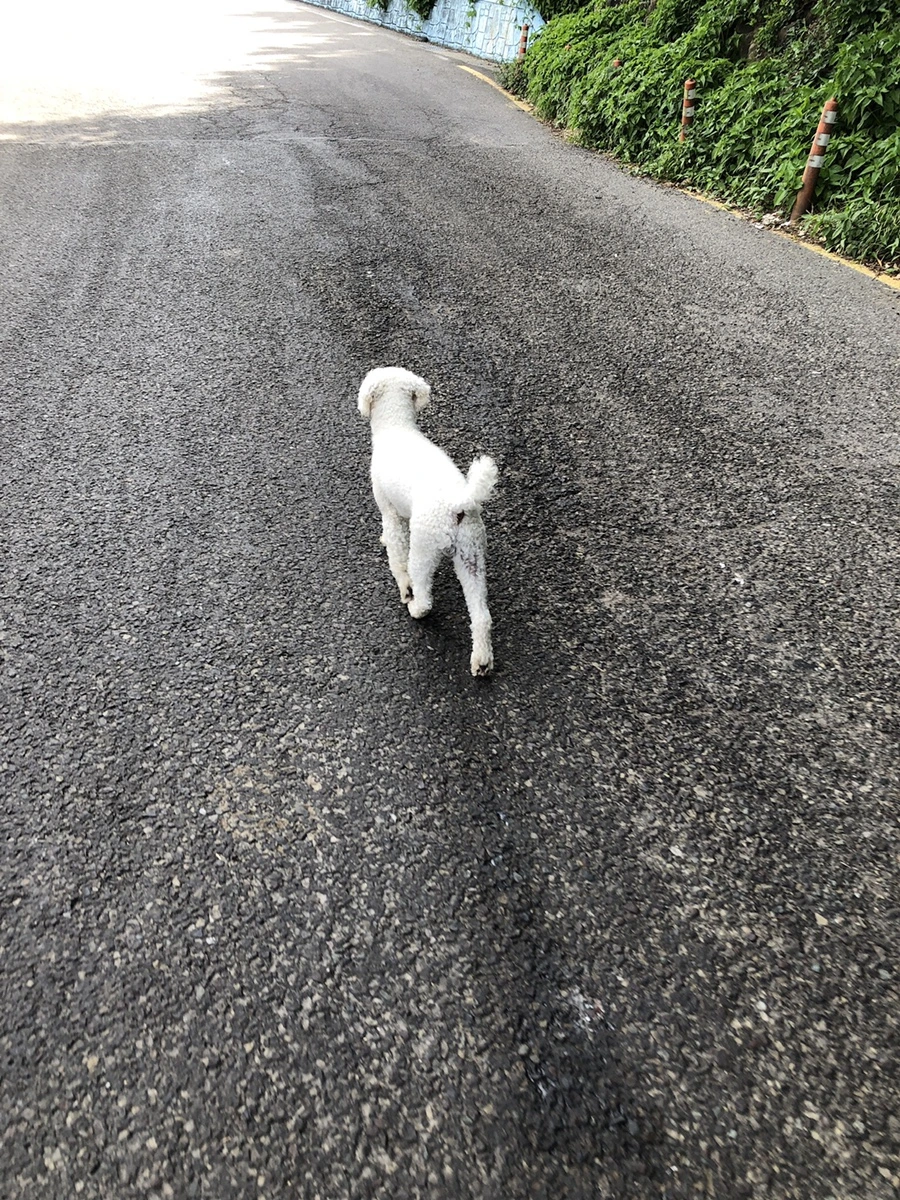 IMG_3720.JPG?type=w1