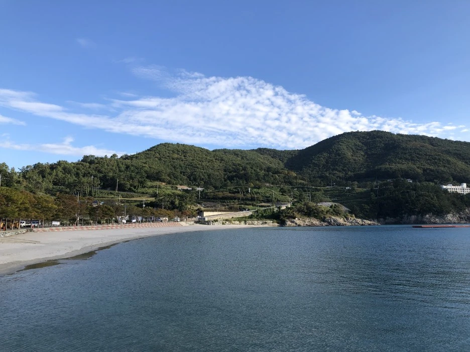 IMG_8919.JPG?type=w1