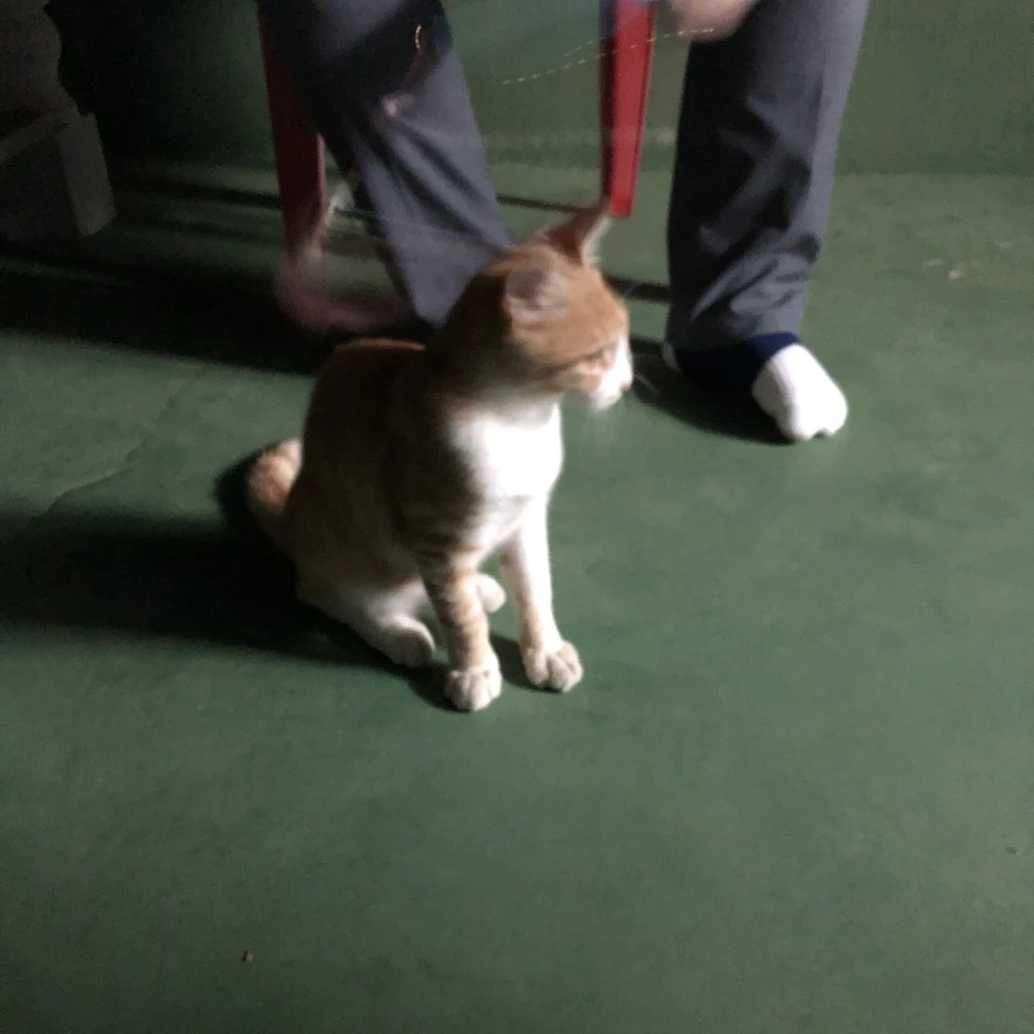 IMG_8537.JPG?type=w1