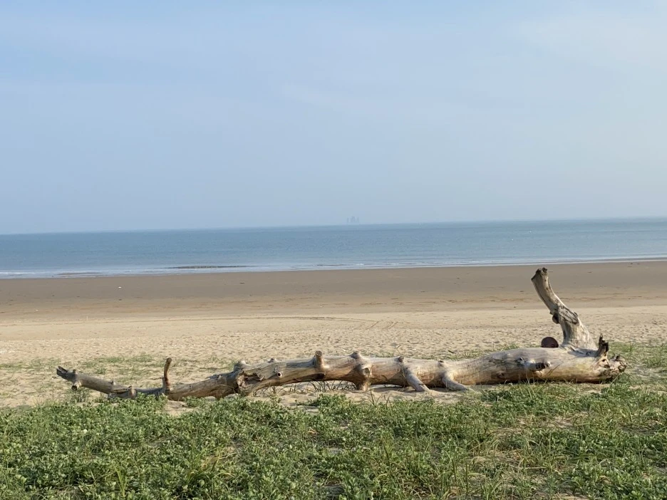 56587DCC-45AB-44F7-9E22-98CDC2B43750.jpeg?type=w1