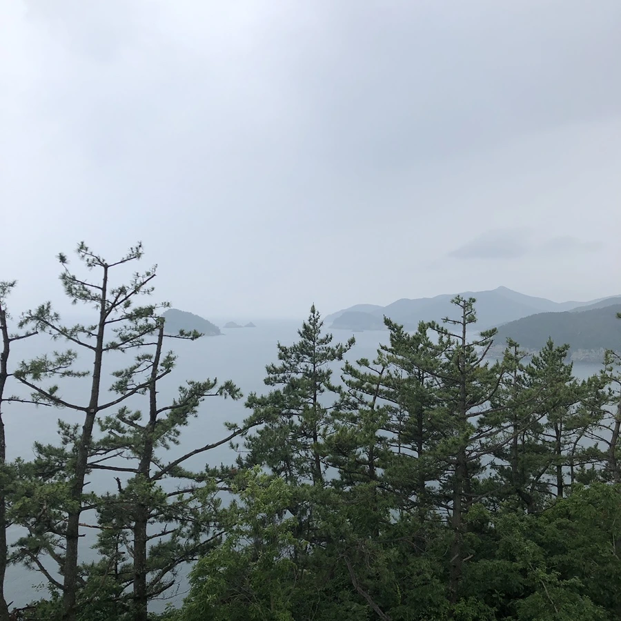 IMG_3425.JPG?type=w1