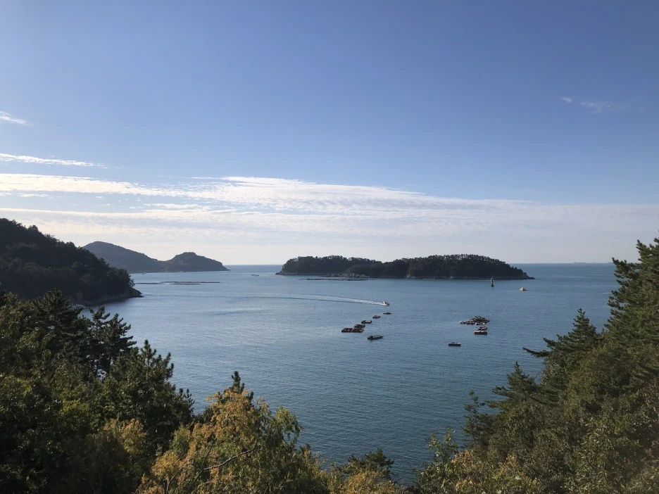 IMG_8934.JPG?type=w1