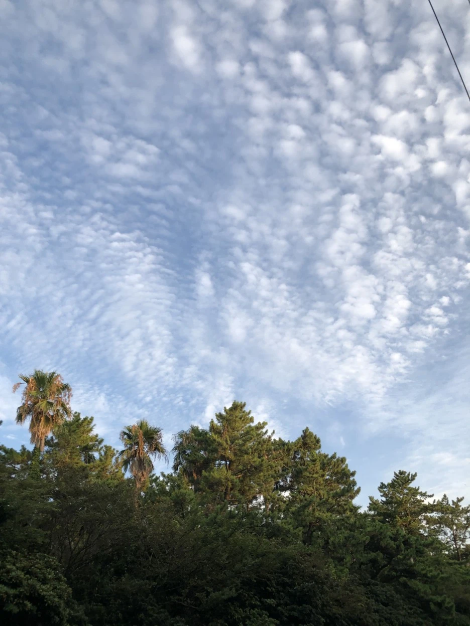 6396486E-1F51-4EEA-AC45-4A4FFEBC0890.jpeg?type=w1