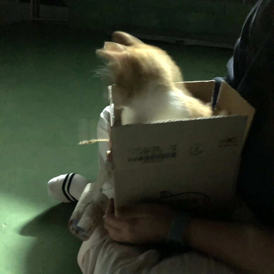 IMG_8543.JPG?type=w1