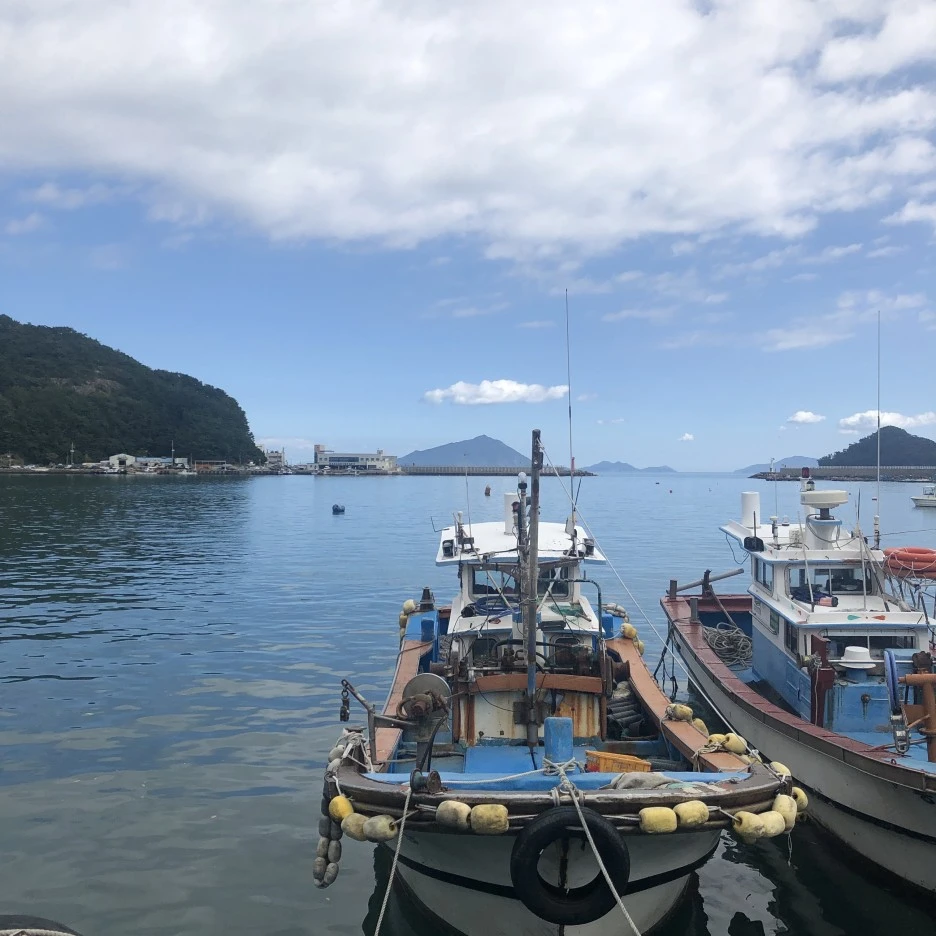 IMG_8593.JPG?type=w1