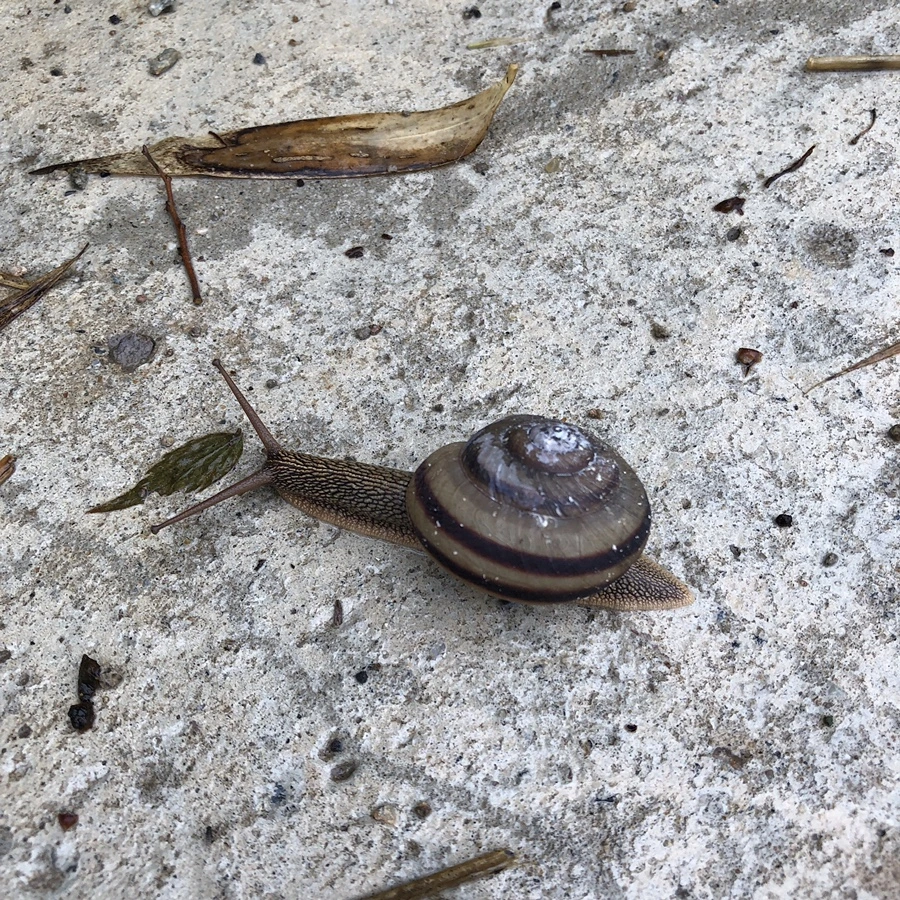 IMG_4031.JPG?type=w1