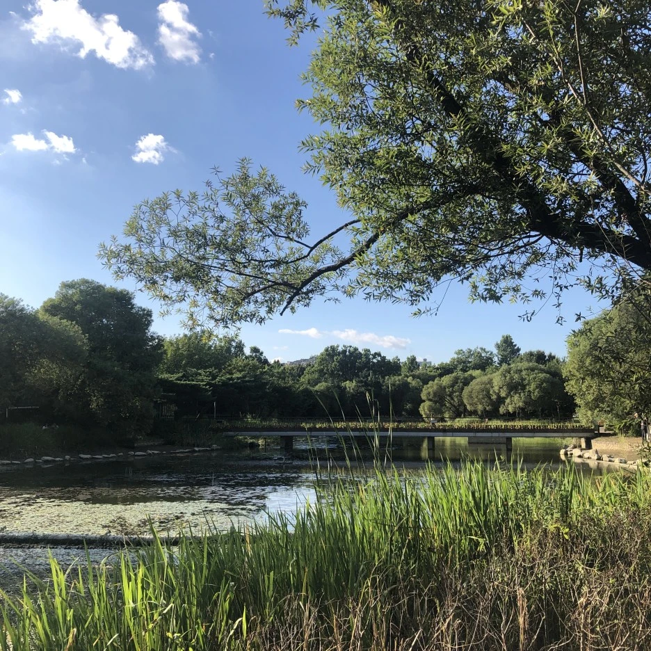 IMG_7505.JPG?type=w1