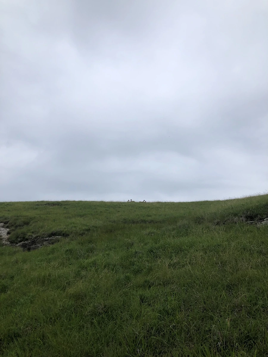 IMG_4010.JPG?type=w1