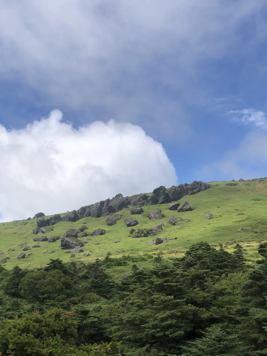 IMG_5717.JPG?type=w1