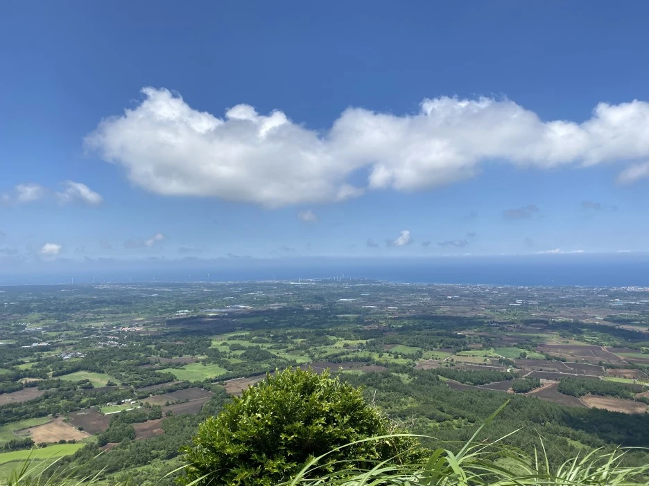 IMG_9619.jpeg?type=w1