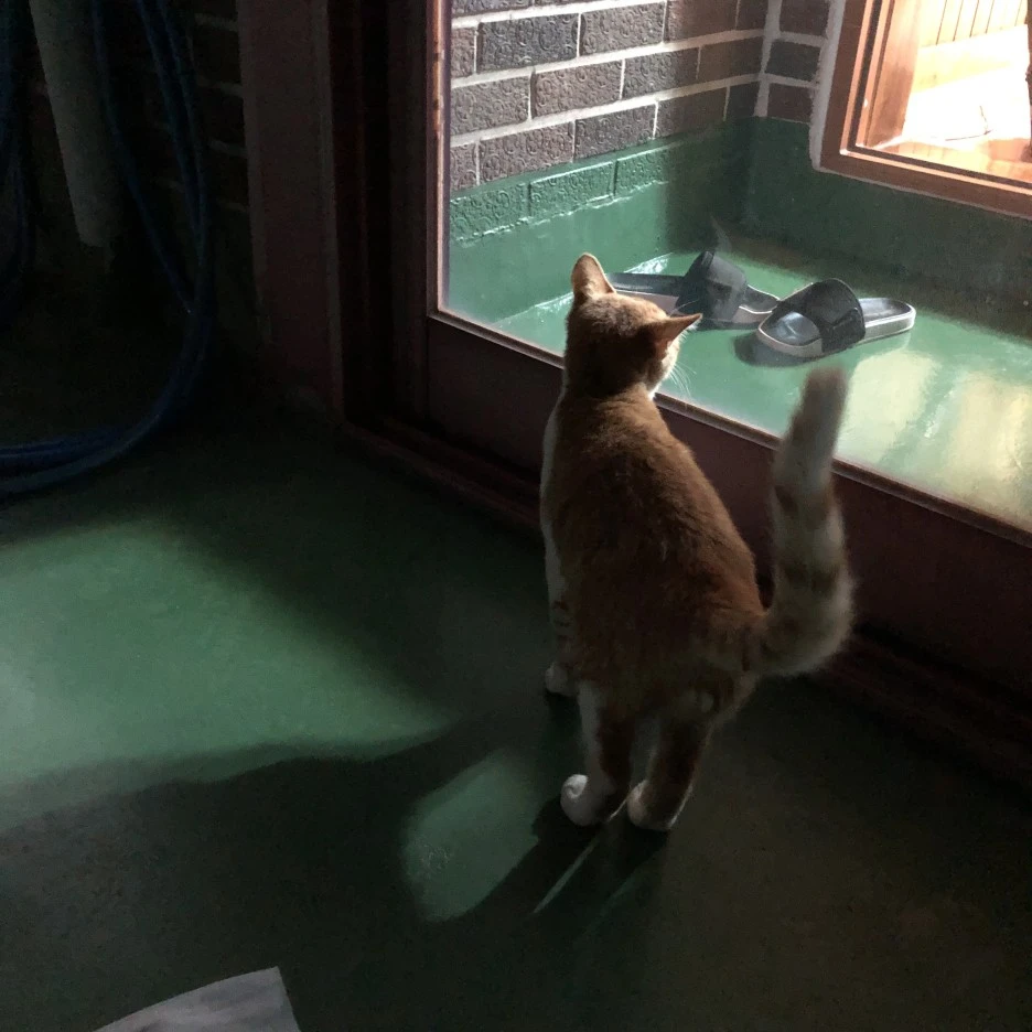 IMG_8898.JPG?type=w1