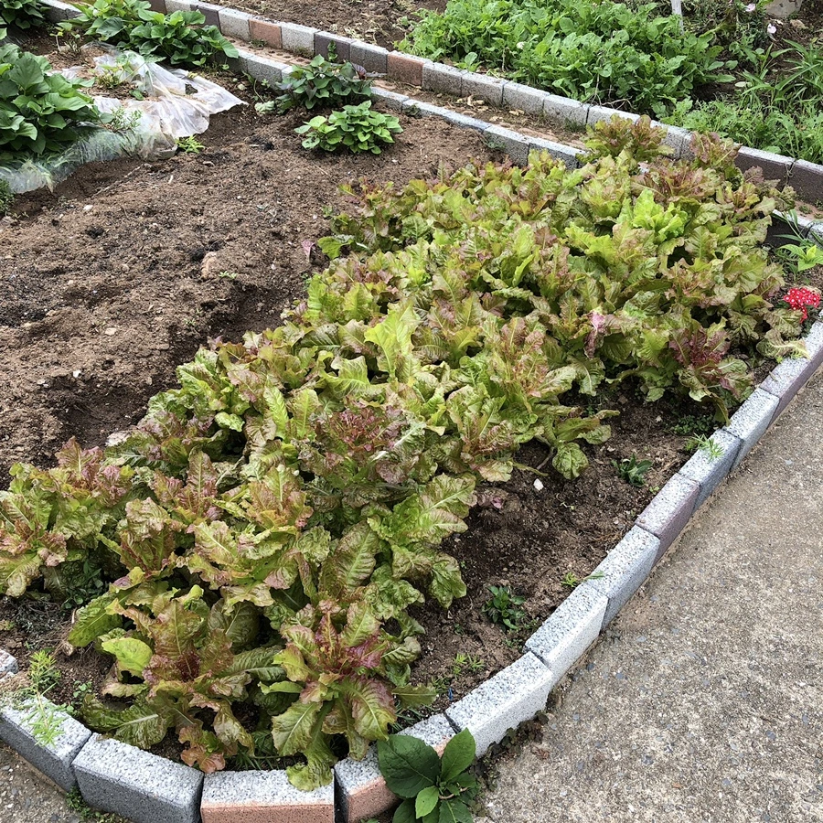 IMG_3414.JPG?type=w1