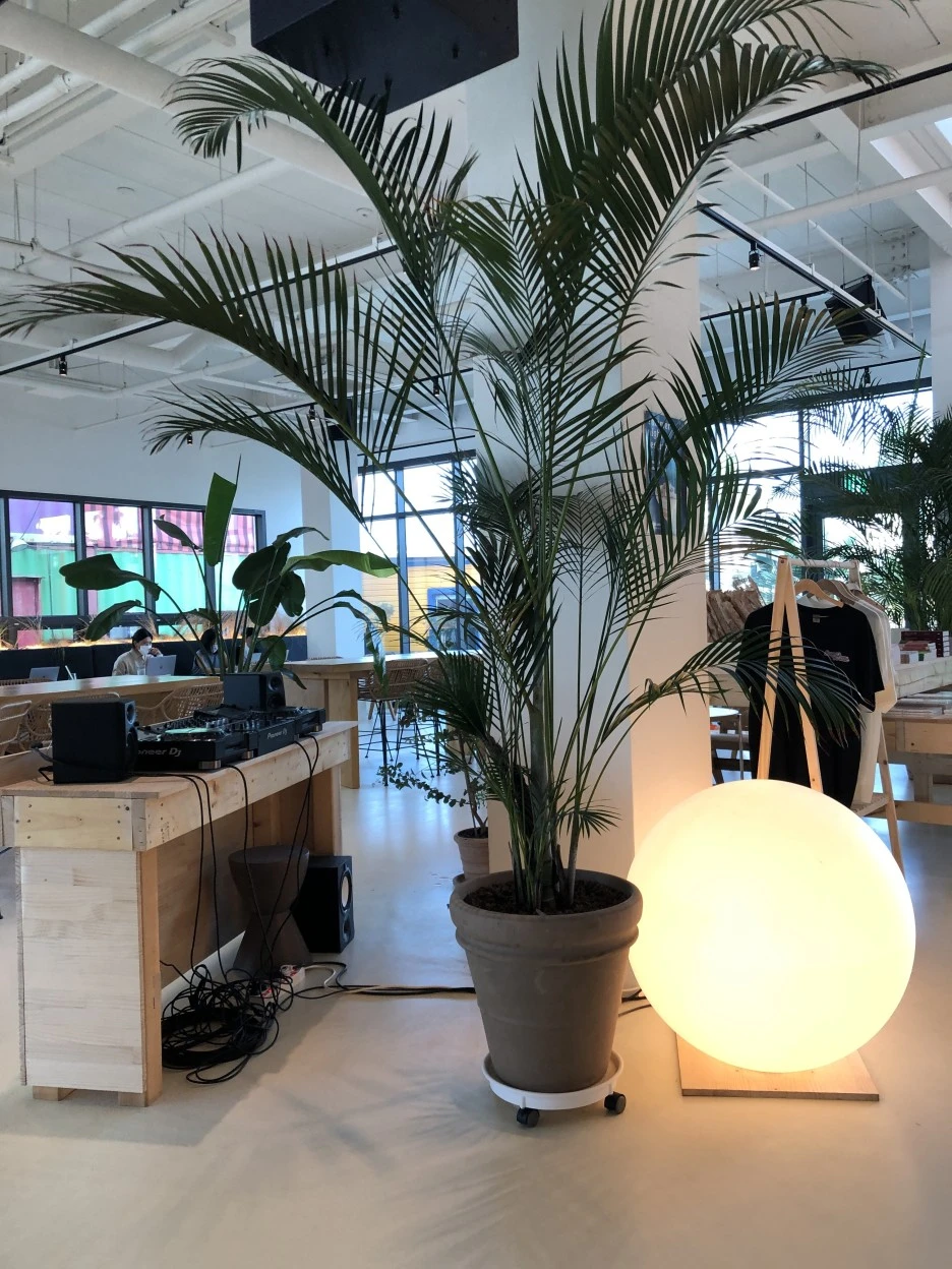 CAB8091F-FC64-4042-88D0-620195AC0DF4.jpeg?type=w1