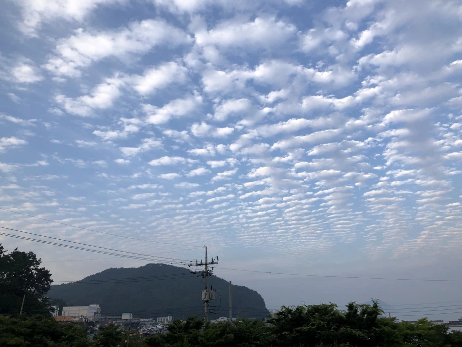 A2956B51-2EB1-4C2C-82B3-A4B2FC1428B1.jpeg?type=w1