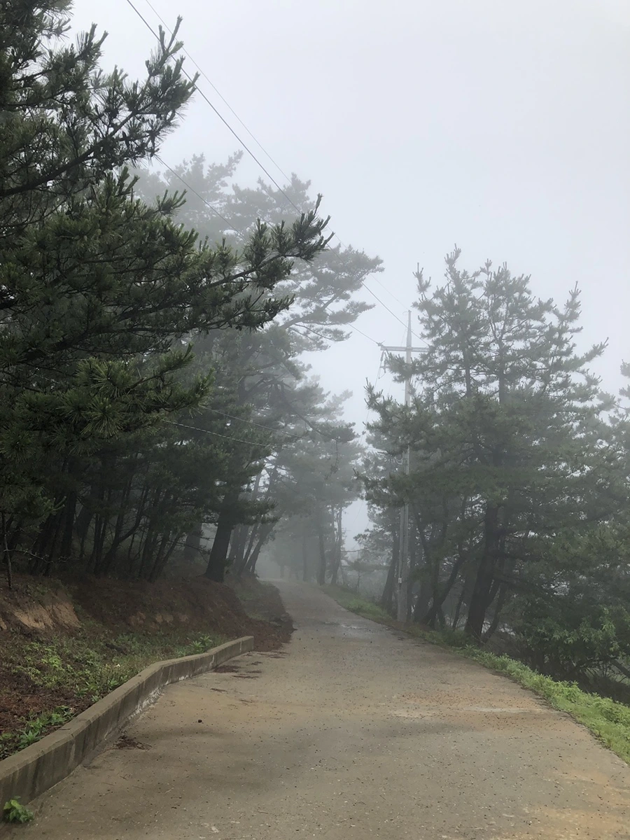 IMG_4033.JPG?type=w1