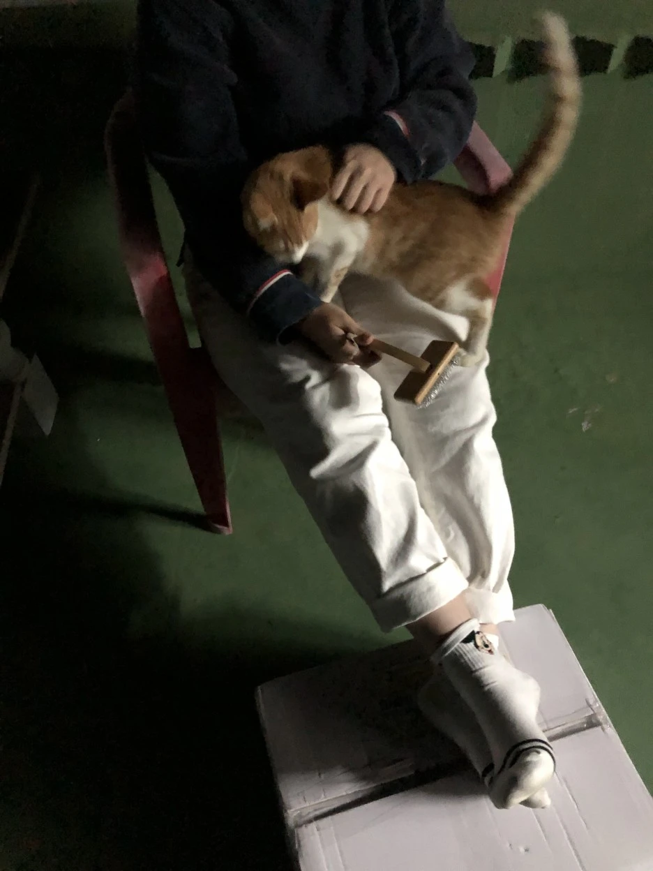 IMG_8553.JPG?type=w1