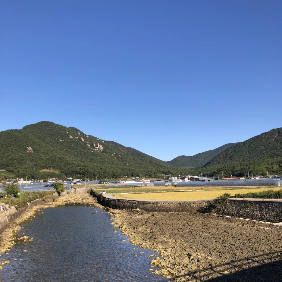 IMG_8799.JPG?type=w1