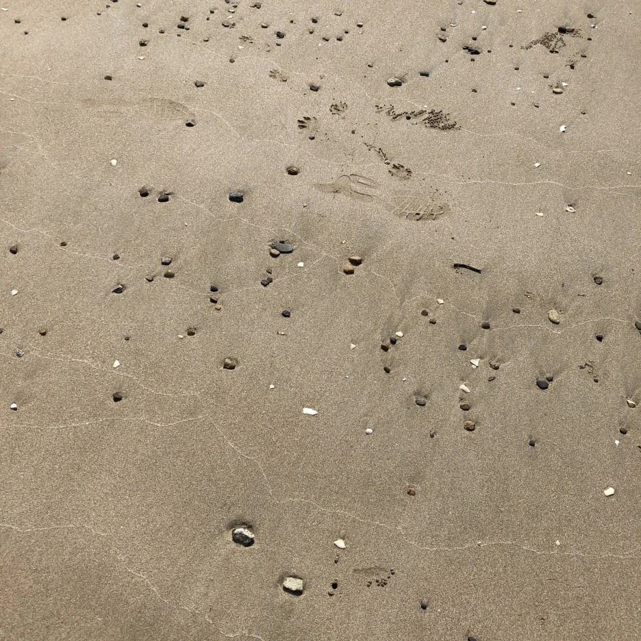 IMG_8601.JPG?type=w1