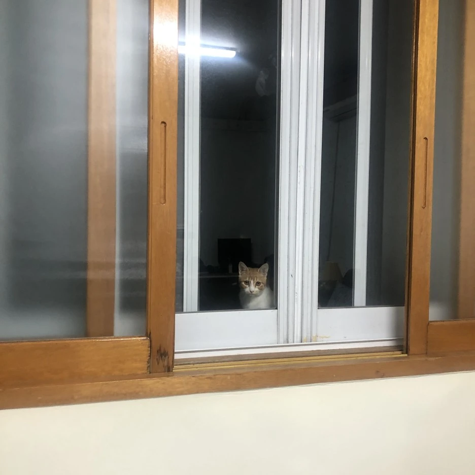 IMG_8486.JPG?type=w1