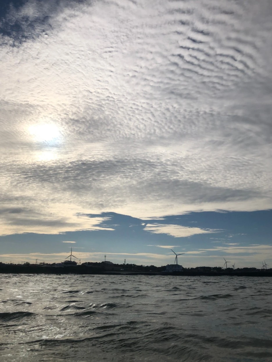 SE-95c624ba-6658-4721-b75c-1d1e3e38668b.jpg?type=w1