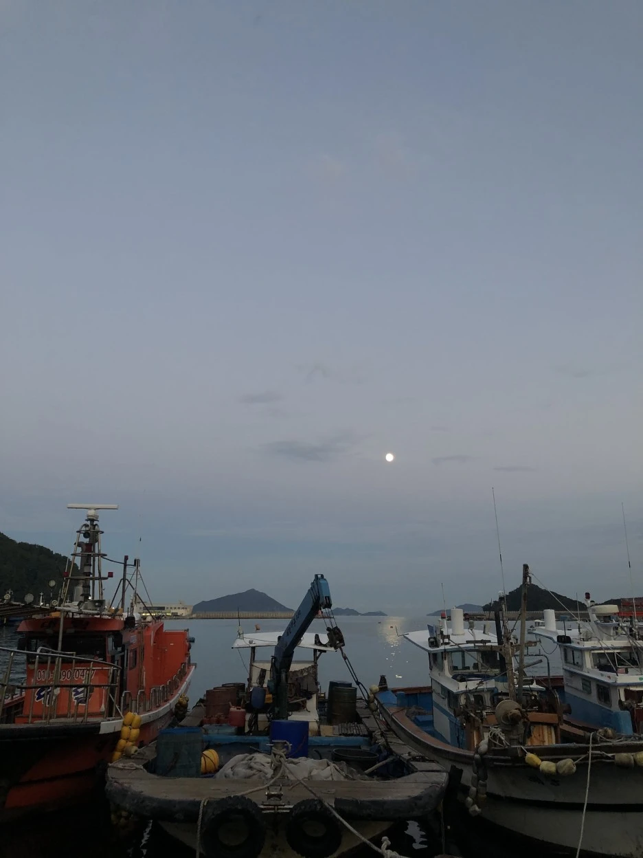 IMG_8891.JPG?type=w1