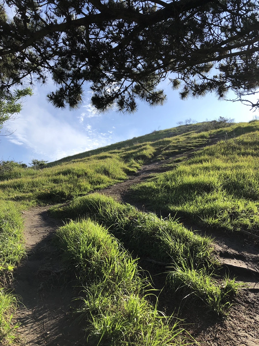 IMG_4068.JPG?type=w1