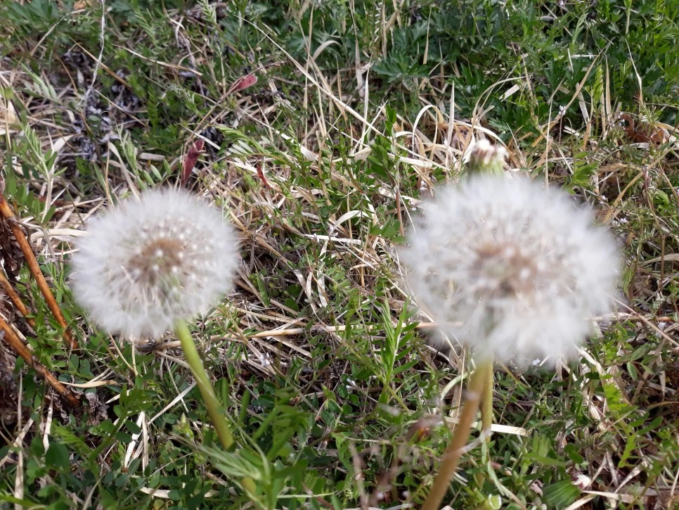 20190413_084533.jpg?type=w966