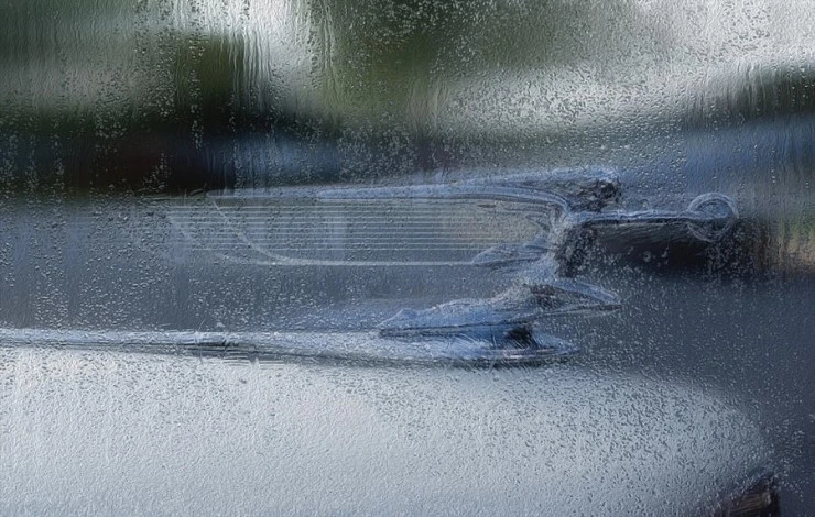 running-in-the-rain-jack-zulli.jpg?type=w2