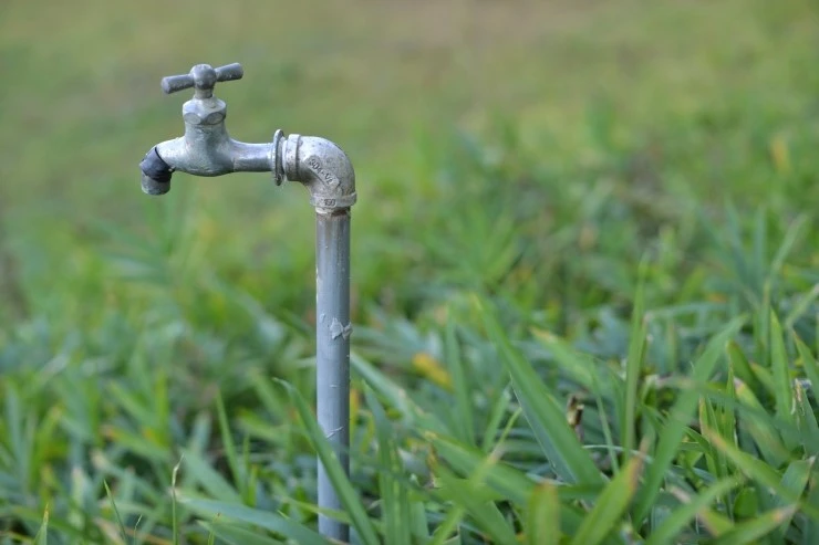 1057625563.jpg?type=w2