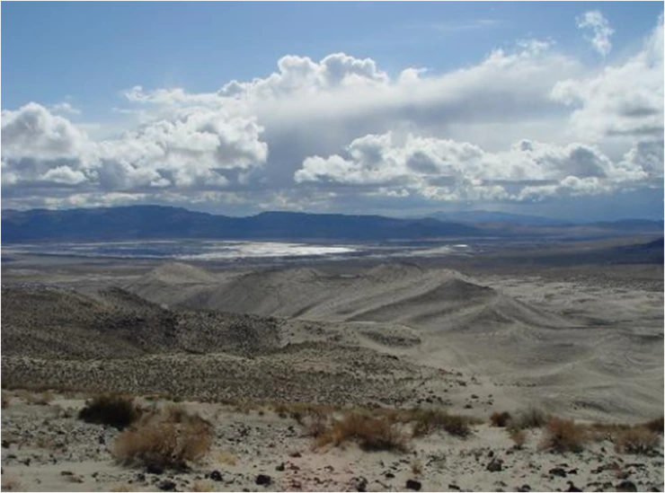 %BB%E7%B8%B71.png?type=w2