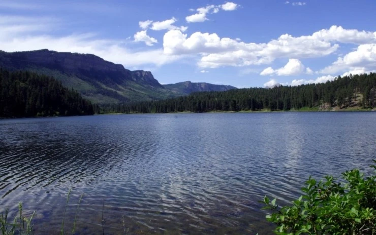 %C8%A3%BC%F62.jpg?type=w2