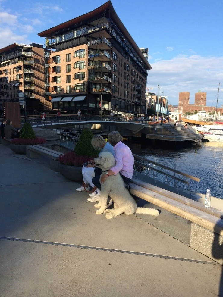 IMG_1886.JPG?type=w2