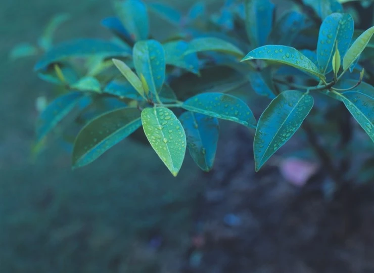 a0001tc001792.jpg?type=w2