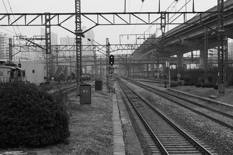 %C8%E6%B9%E95.jpg?type=w2