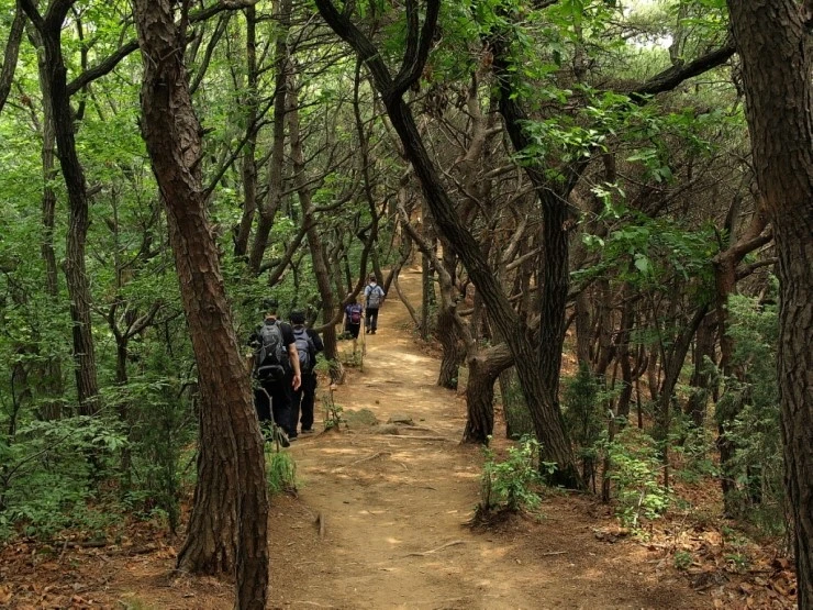 1247412032_%C3%BB%B0%E8%BB%EA__090704_068.jpg?type=w2