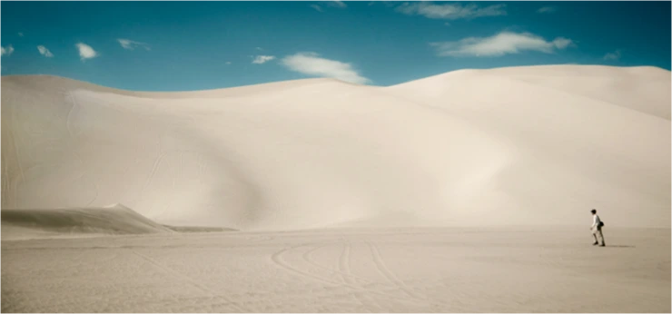 %BB%E7%B8%B72.png?type=w2