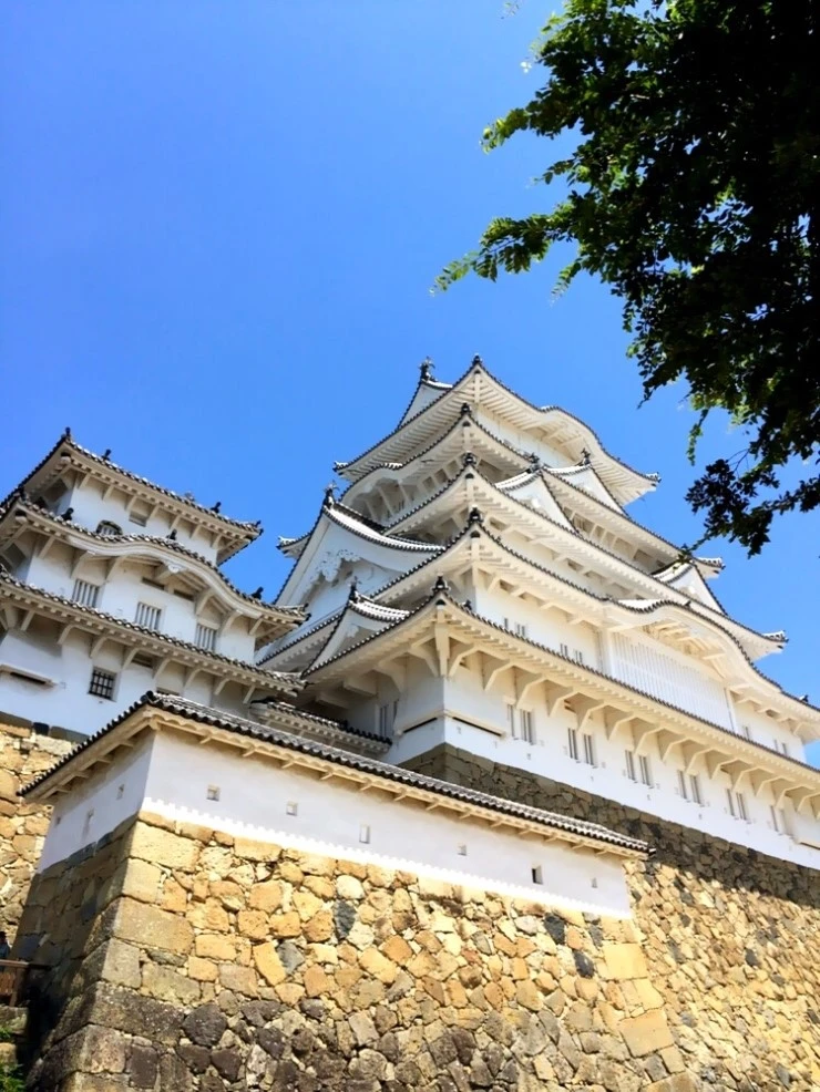 IMG_3750.JPG?type=w2