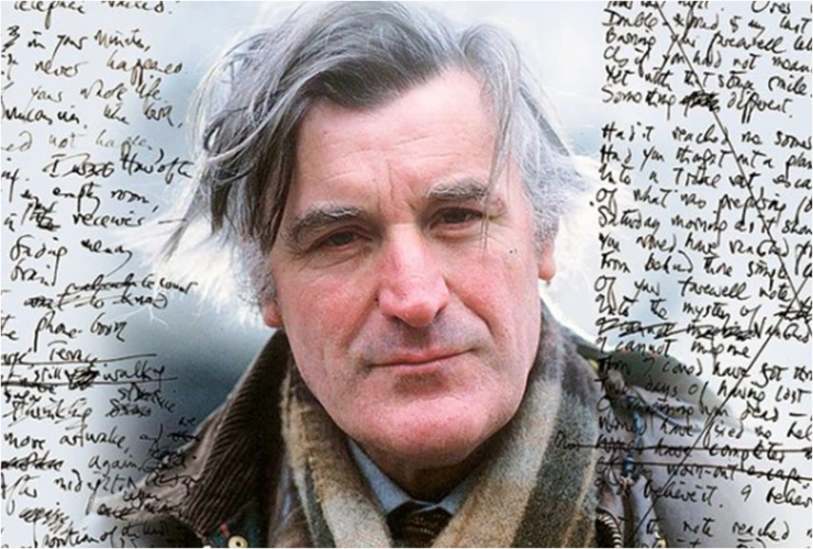 %C5%D7%B5%E5%C8%DE%C1%EE1.png?type=w2