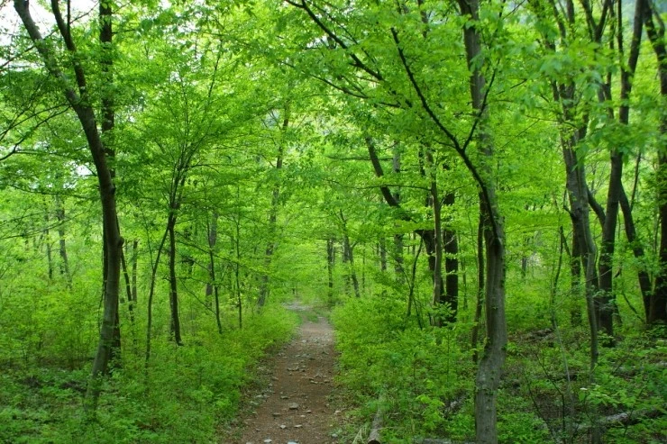 DSC06696%281%29.jpg?type=w2