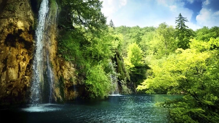 natural-world-hero.jpg?type=w2