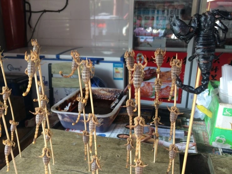 IMG_8615.JPG?type=w2